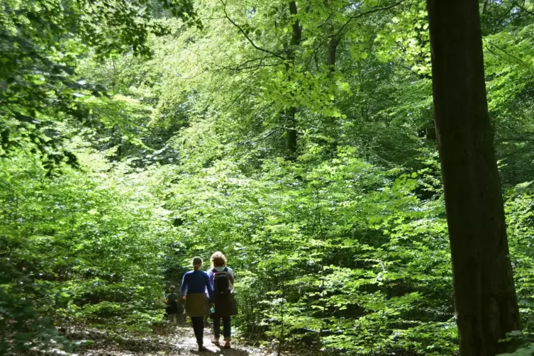 Einige Herschberger wollen wieder in Gruppen wandern. 