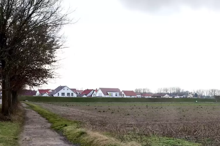 Das Gewerbegebiet an der K8 nach Bellheim ist seit Jahren Thema im Rat. Der Lärmschutzwall ist schon gebaut. 