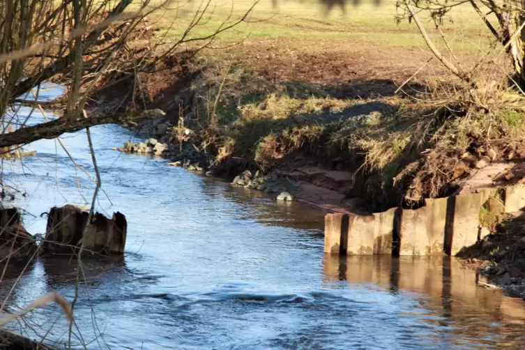 Beim Westwallbau wurden diese Stahlbleche in die Felsalb gerammt. Bei Niedrigwasser wirken sie auch in der Mitte wie Staumauern.