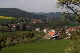 Die Ortsgemeinde Matzenbach verfügt über rund 164 Hektar Wald.