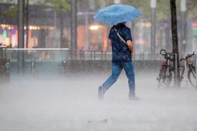 Landau arbeitet an einem Vorsorgekonzept gegen Hochwasser und Überschwemmungen. 