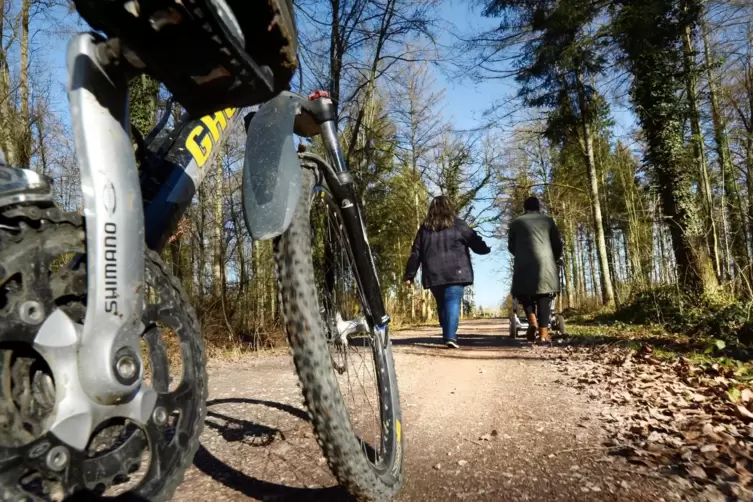 Radler und Wanderer in Einigkeit: In der Westpfalz bietet der Mountainbikepark Fahrradfahrern ein rund 900 Kilometer langes Wege