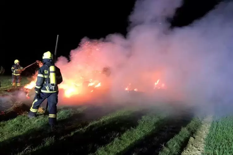 Einsatzkräfte der Feuerwehr im Löscheinsatz auf dem Feld.