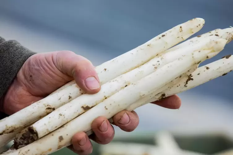 Es gibt auch ein Paket mit frischem Spargel aus der Südpfalz.