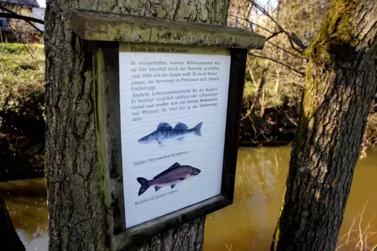 Die in die Jahre gekommene Beschilderung des Gewässerlehrpfads entlang des Glans muss erneuert werden.