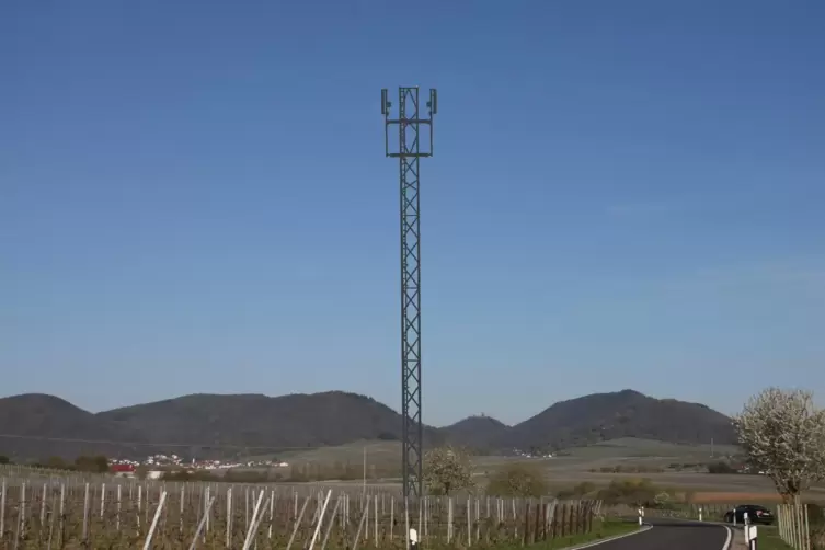 So soll der Mast zwischen Mörzheim und Ilbesheim aussehen. 