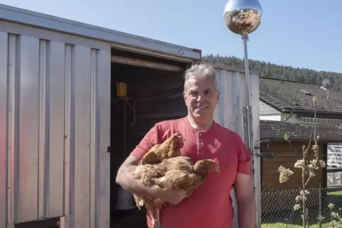 14 Hennen besitzt Werner Schmitt. Einen alten Baustoffcontainer hat er zum Hühnerstall umgebaut.