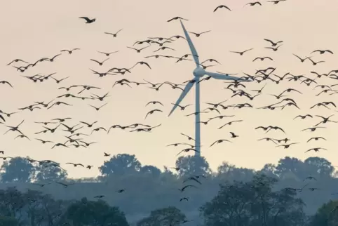 Währtend die SPD auf den schnelleren Ausbau Erneuerbarer Energien setzt, um die Klimaziele zu erreichen, setzt die Union stärker