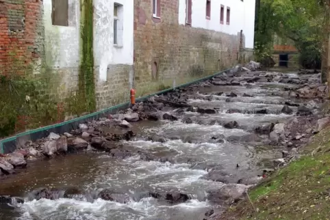 Fischtreppe, hier bei Bellheim.