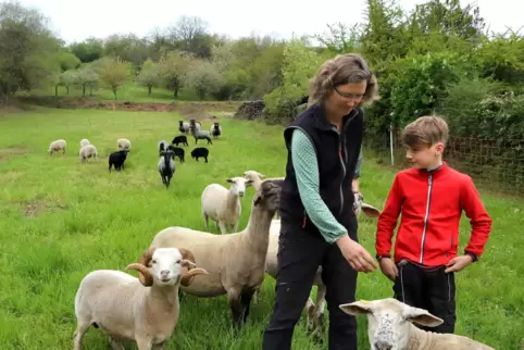 Pflegeschaf Locke hat Anne und Simon Laux zur Schafhaltung gebracht. Mittlerweile besitzt die Familie aus Eußerthal 15 Ziegen un