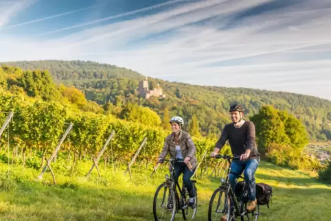 Besonders die Genussradler schätzen die Rundtouren in der Südpfalz. 