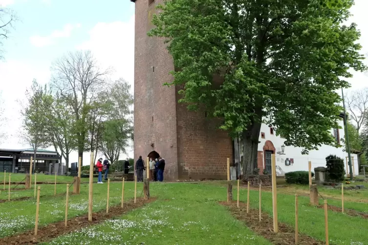 Der Stadt entstehen keine Kosten – Winzer und Lokalpolitiker haben gespendet und sich tatkräftig reingehängt.