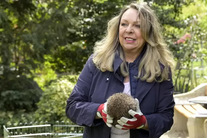 Ein besonderer Tag für Mensch und Tier: Gabriele Popp mit einem der Igel, die sie in Ludwigshafen auswildert.