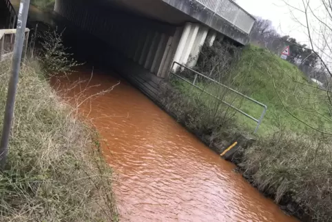 So sah der Speyerbach am Vormittag des 19. April aus.