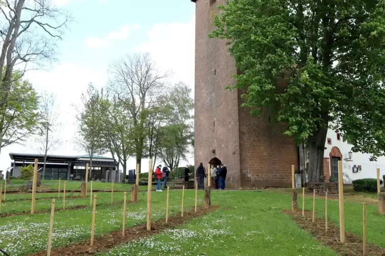 So sieht der kürzlich fertig gestellte Friedweinberg in Landau aus.