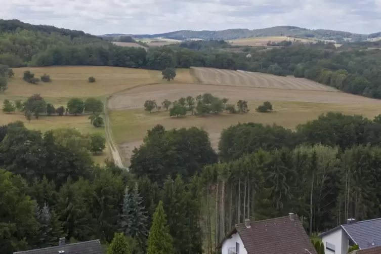 Rollen schon Ende 2022 die Bagger? Das künftige Gewerbegebiet Schellweiler. 