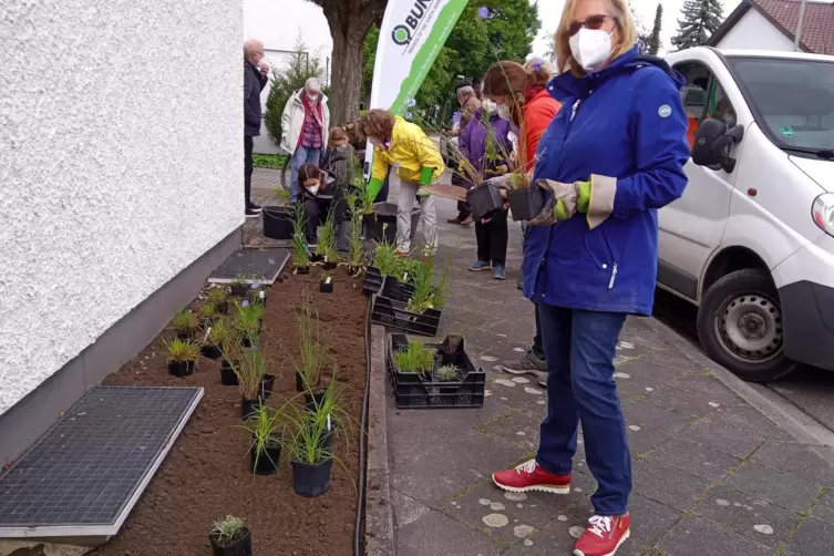 Bei der Gestaltung des Beets wird auf heimische Pflanzen gesetzt. 