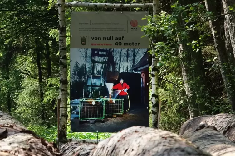 Zeigt Mensch und Wald: Eines der Plakatmotive im Rodenbacher Wald. 