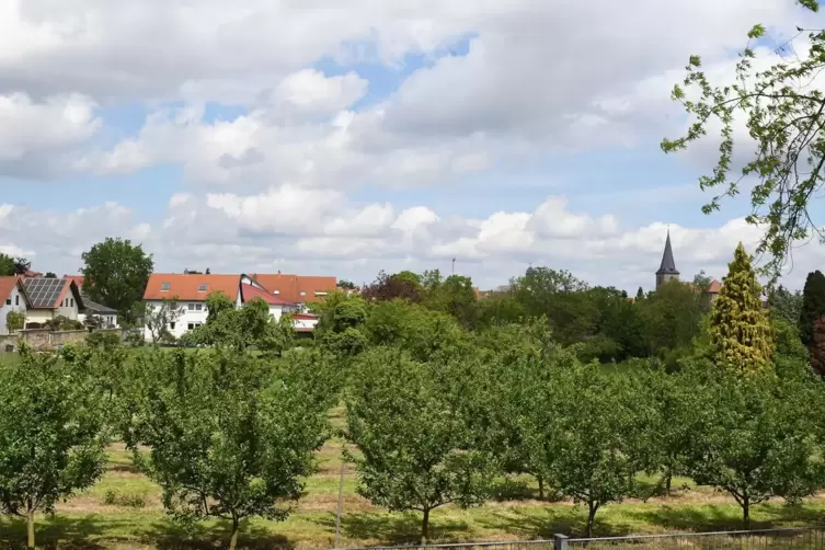 Der geplante Parkplatz auf dem Gelände an der Quelle ist umstritten. 