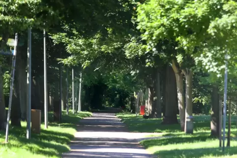 Am Rehbachwanderweg soll ein Fitnesspark entstehen. 