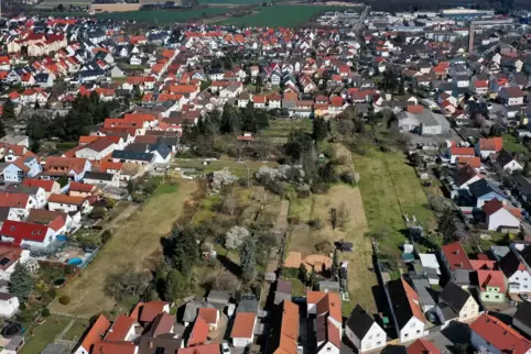 Der Schindkaut-Bebauuungsplan löst in Schifferstadt Protest der Anwohner aus. 