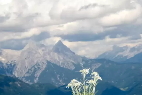 In Österreich – hier die Alpen inTirol – leben die meisten deutschen Auslandsrentner.