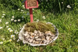 Für Insekten ideal: eine selbstgemachte Tränke, gefüllt mit Steinen.