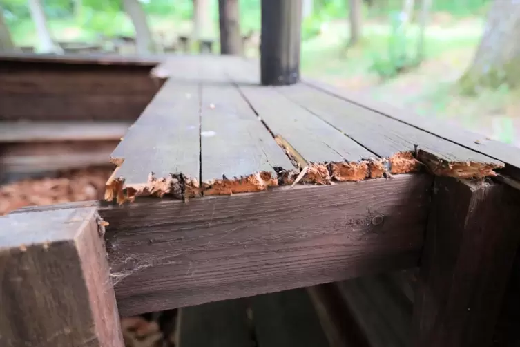 Vandalismus und der Zahn der Zeit haben der Holzhütte am Waldfestplatz zugesetzt.