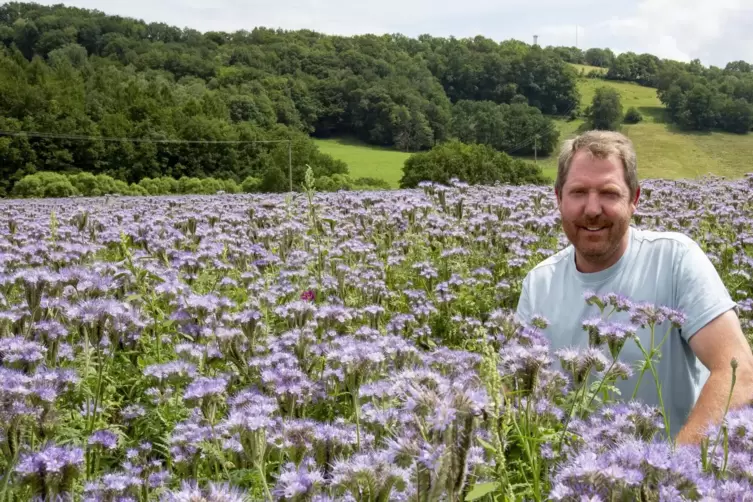 Im Blütenmeer: Landwirt Gerd Zimmer hat sich vor der Aussaat bei einem Imker informiert