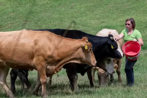 Ina Freyer versorgt einen Teil ihrer Tiere auf der Weide. 