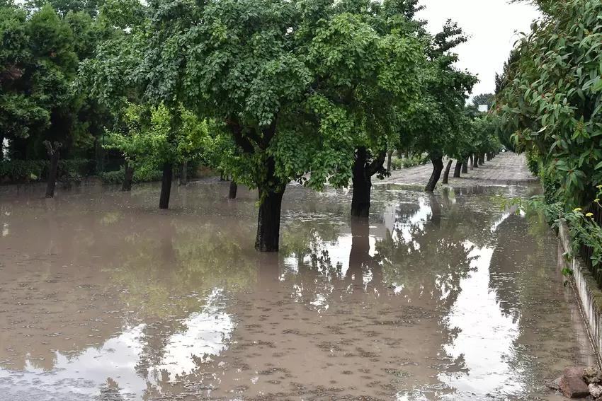 Nach dem Unwetter in Freinsheim.