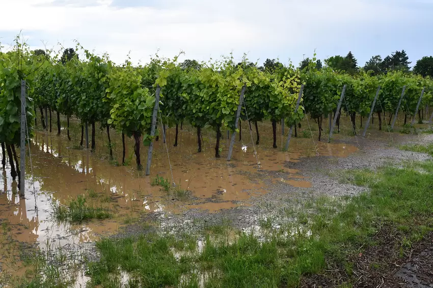 Nach dem Unwetter in Freinsheim.