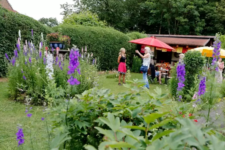 Im Garten von Hedwig Kaffenberger in Stahlberg fühlen sich sowohl Insekten als auch Menschen wohl. 