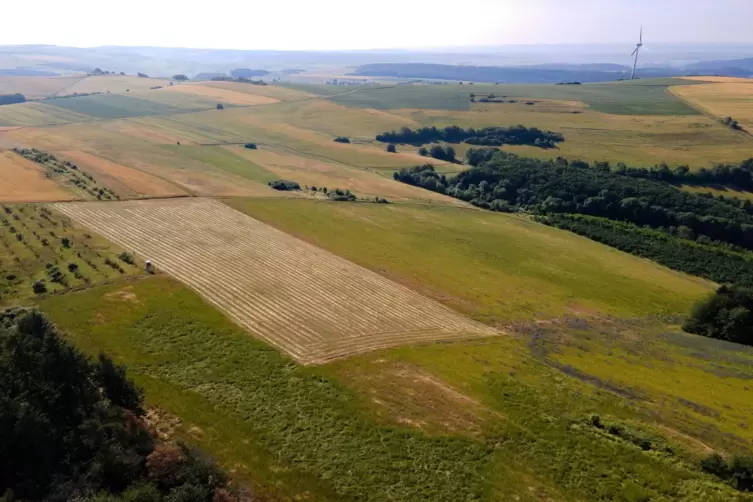 Da soll die Fotovoltaikanlage hin, neben das Quellgebiet des Kreimbachs. Zur Kreisstraße 47 sind es etwa 600 Meter. 