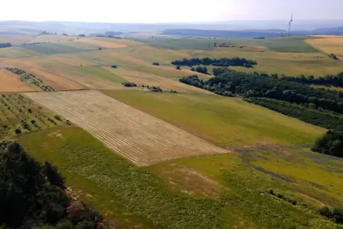 Da soll die Fotovoltaikanlage hin, neben das Quellgebiet des Kreimbachs. Zur Kreisstraße 47 sind es etwa 600 Meter. 