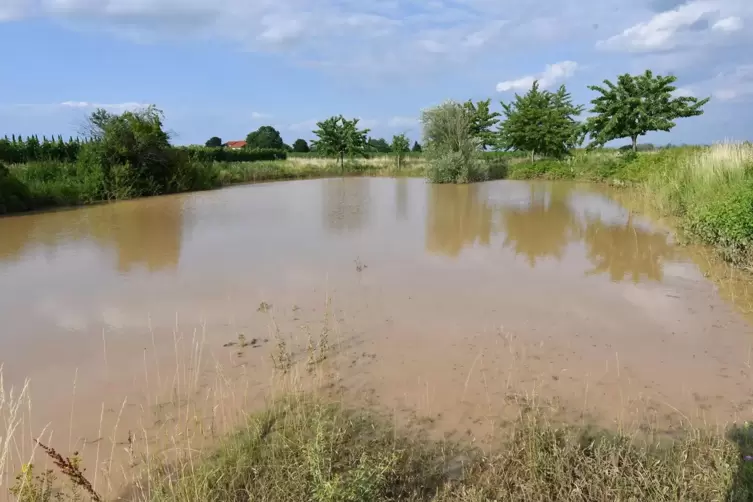 Volles Regenrückhaltebecken im Westen von Freinsheim am Weg zum Oschelskopf.