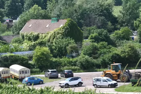 Ob auf dem Gelände der Alten Stadtgärtnerei ein Hotel entsteht, entscheiden die Bürger. 