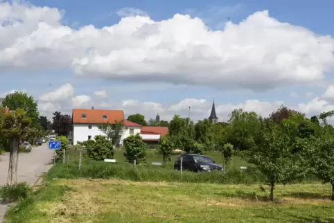 Das Gelände zwischen Friedhofstr. (im Bild) und Burgstrasse.