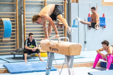 Die TSG-Turner beim Mannschaftstraining: David Jäger trainiert am Pferd, Paul Studenski an den Ringen. Links sitzt Trainer Alexa