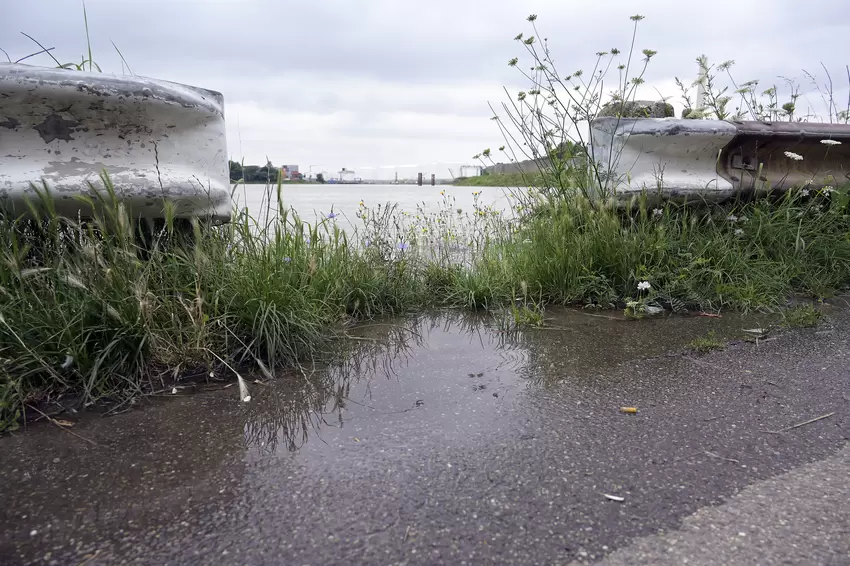 hochwasser-rhein_0572