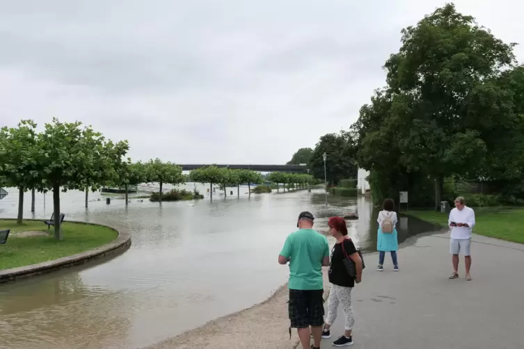 Steht am Samstagnachmittag unter Wasser: das Helmut-Kohl-Ufer in Speyer.