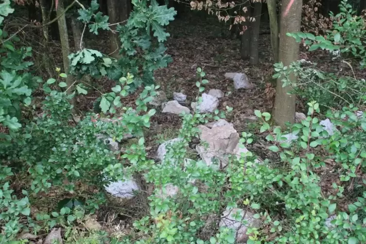 Illegal abgeladener Bauschutt im Waldstück neben der Zufahrtsstraße zur Grüngutsammelstelle. 