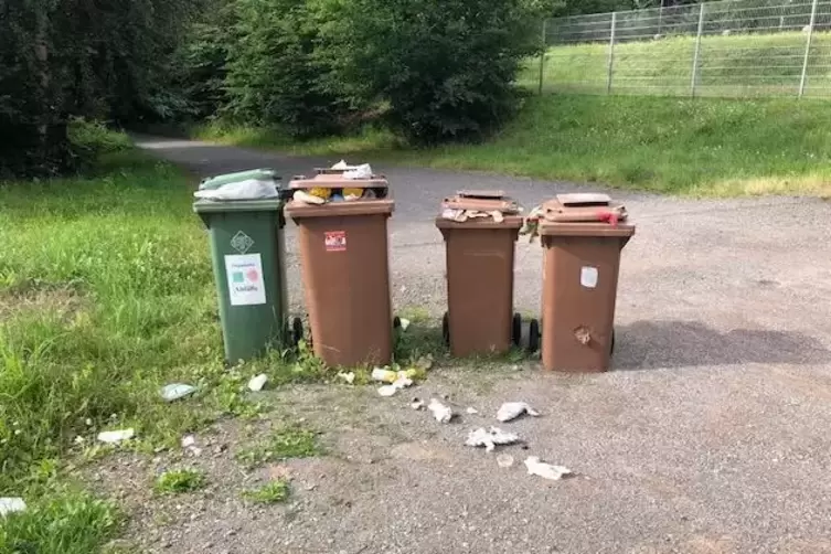 Vor vier Wochen einfach abgestellt: Seitdem hat sich um die überfüllten Mülleimer keiner mehr gekümmert. 