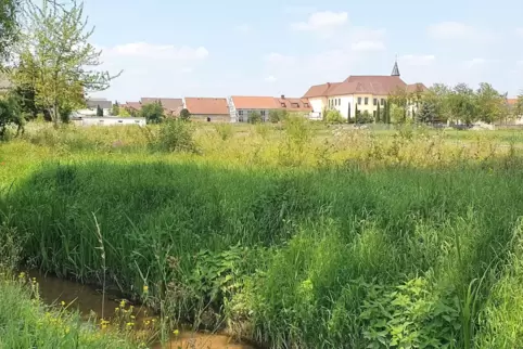 Der Blick auf Fußgönheim zeigt fast schon Idylle. Wenn nicht gerade die Stechmücken und Schnaken über das Dorf herfallen. Denn w