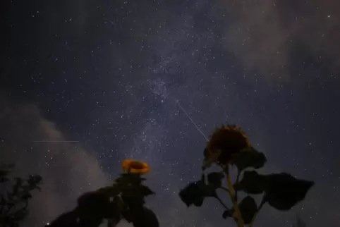 Die Perseiden sind ein jährlich im August wiederkehrender Meteorschwarm.