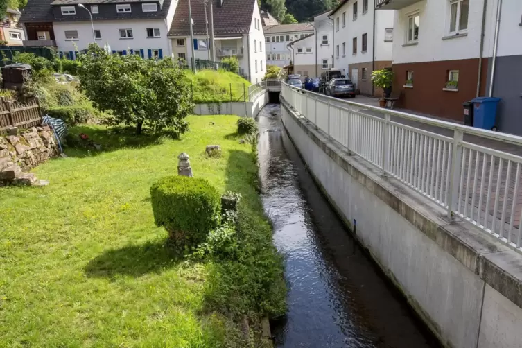 Eine neuralgische Stelle in puncto Starkregen im Landkreis ist das enge Neustadter Tal: Bei Frankenstein ist der Hochspeyerbach 