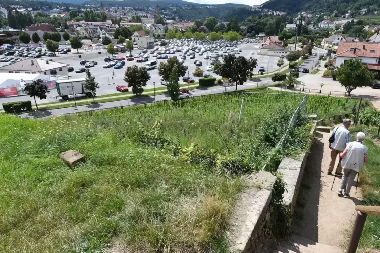 Beste Lage: Der Michelsberg ist für viele Touristen die erste Anlaufstelle beim Kurstadtbesuch. Unterhalb der Kapelle auf dem kl