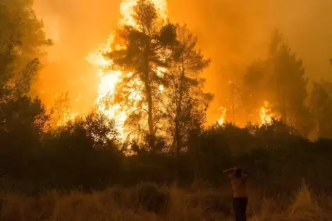Auf der griechischen Insel Euböa im August dieses Jahres: Ein Anwohner steht vor den Flammen eines brennenden Waldgebiets.