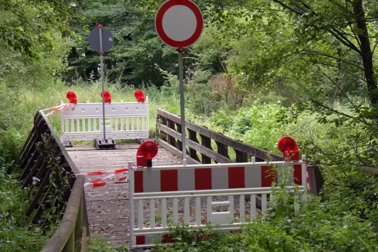 Inzwischen zugewuchert: der Radweg, der nahe der Alten Schmelz an der gesperrten Brücke endet. 