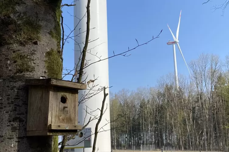 Windkraftanlagen im Stausteinerwald bei Kröppen. 